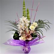 Cymbidium Surprise