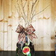 Amaryllis in Glass Vase