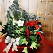 Woodland Christmas Planter