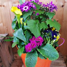 Medium Bright Planter