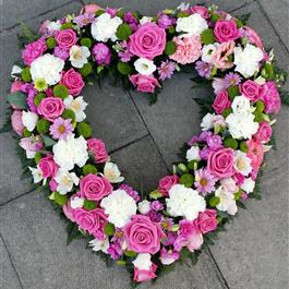 Cuore