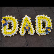 Daisy Chain Dad