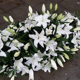 Lily