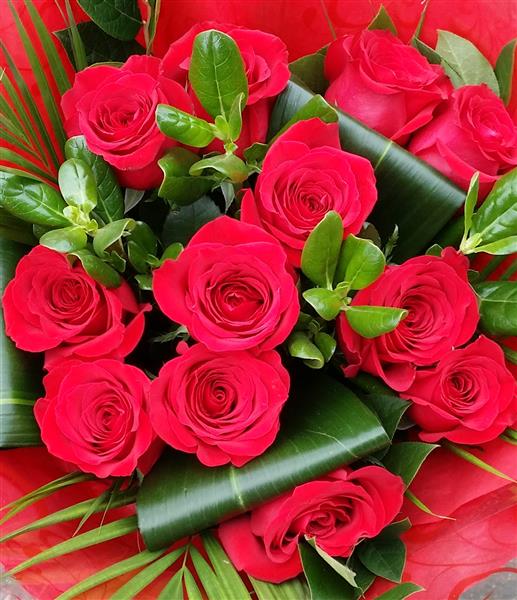 Love Potion product thumbnail